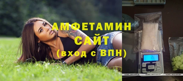 не бодяженный Бородино
