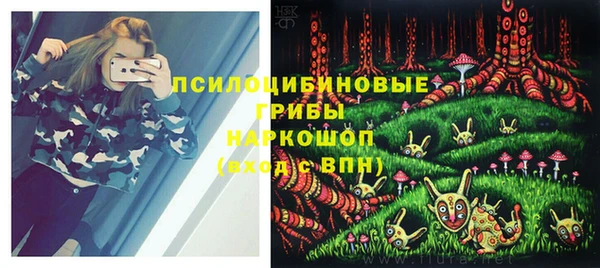 трава Бронницы