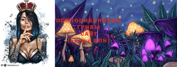 дживик Бугульма