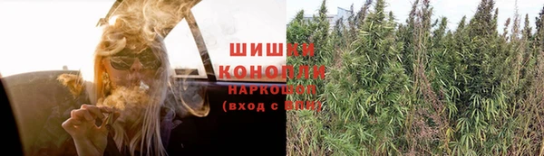 не бодяженный Бородино